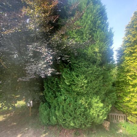 Aubry-le-Panthou カムデン ハウス アンド キャッスル Bed & Breakfast エクステリア 写真